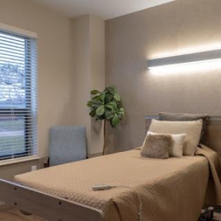 A cozy and minimalistic bedroom featuring a single bed, a plant, and a window with blinds.