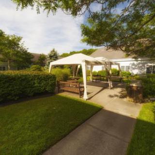 A serene outdoor space featuring a pavilion surrounded by lush greenery and a paved pathway.
