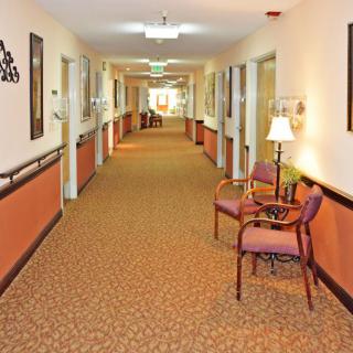 A well-lit, carpeted hallway with chairs and decorative elements along the walls.