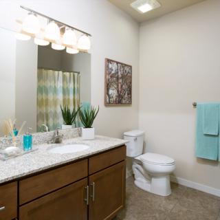 A clean and modern bathroom with a vanity, toilet, and decorative elements.