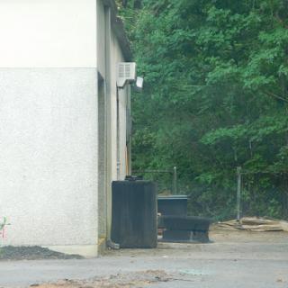 A view of a dumpster next to a building, surrounded by greenery.