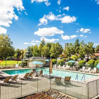 A sunny outdoor swimming pool area with lounge chairs and surrounding greenery.