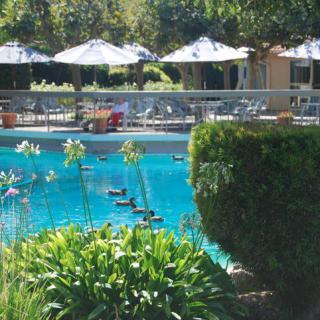 Villa Serena Retirement LLC