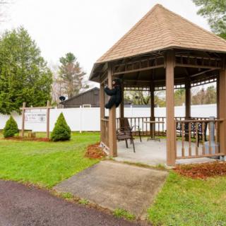 A wooden gazebo in a garden setting with a surrounding fence and lush greenery.