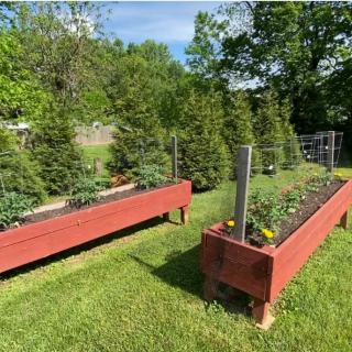 A lush outdoor scene featuring raised garden beds filled with a variety of plants, surrounded by green trees.
