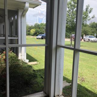 View through a window towards a garden with cars parked on the street.