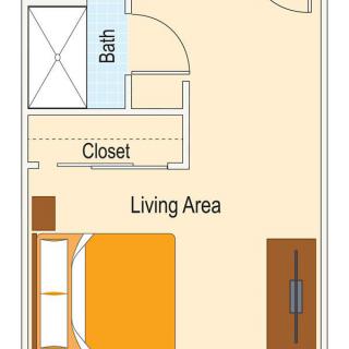 Studio apartment floor plan with a living area, bathroom, and closet.