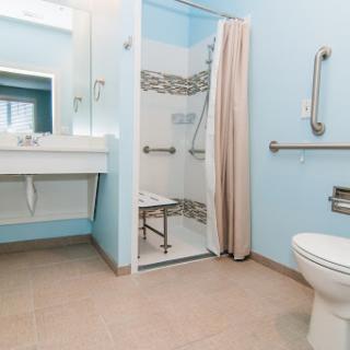 A well-designed accessible bathroom featuring a shower with handrails, a sink, and a toilet.