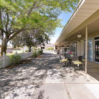 A serene outdoor walkway lined with trees and chairs, leading to a row of buildings in a sunny atmosphere.