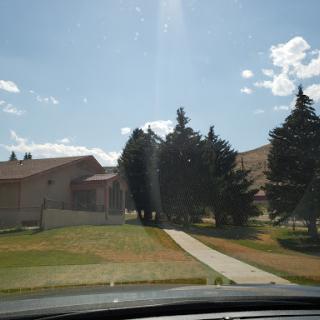 A sunny day view of a residential area featuring a house and surrounding trees.