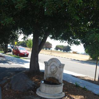 A decorative fountain beside a tree along a quiet street.