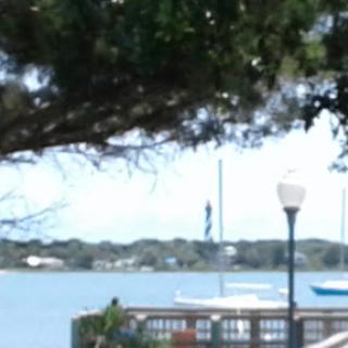 A serene waterfront view featuring trees, a dock, and sailboats in the distance.