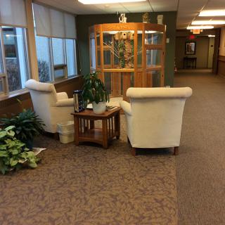A cozy lobby area with two armchairs and a small table, adorned with indoor plants and large windows.