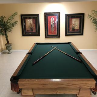 A stylish game room featuring a green pool table with cue sticks crossed on top, surrounded by framed artwork and decorative plants.