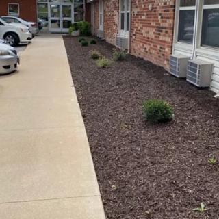 A landscaped area with mulch and small plants beside a building's exterior walkway.