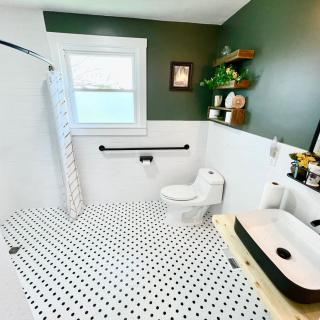 A modern bathroom with black and white tile flooring and a green accent wall, featuring a sleek sink and toilet.