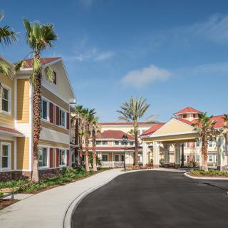 A sunny day at a residential building with palm trees lining the driveway.