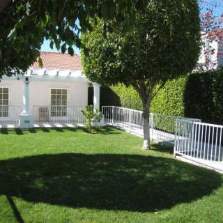 A sunny yard featuring a neatly trimmed lawn, tree, and a white fence in front of a house.