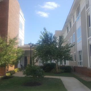 A view of a modern building with trees and a pathway under a clear blue sky.