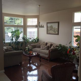 A cozy living room with sofas, plants, and large windows allowing natural light.