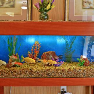 A decorative aquarium with colorful fish and water plants.