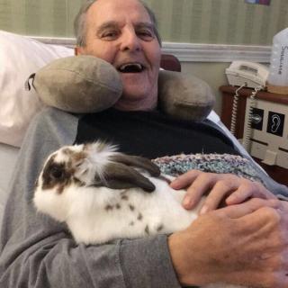 An elderly man smiling while lying in a hospital bed with a therapy rabbit resting on his chest.
