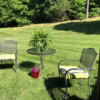 A sunny garden scene with chairs and a table featuring potted plants.