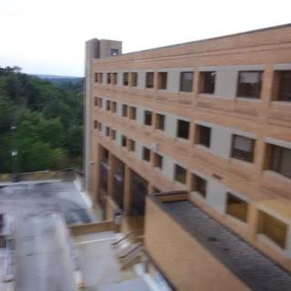 A view of a multi-story brick building surrounded by greenery.