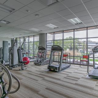 A modern gym with various fitness equipment, including treadmills and exercise machines, set in a spacious room with large windows.
