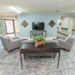 A modern living room featuring a television, two striped sofas, and a coffee table with decorative plants.