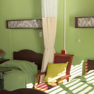 A cozy bedroom with green walls and ample natural light.