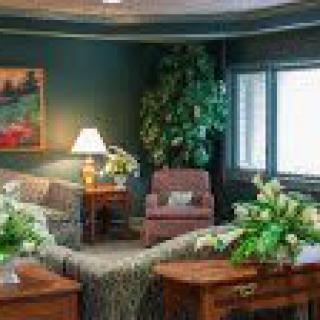 A cozy living room with sofas, an armchair, a lamp, and decorative plants.
