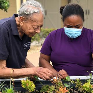 An elderly person and a caregiver tending to plants together in a garden.