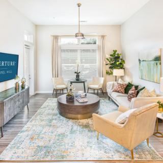 A modern living room featuring stylish furniture, a central coffee table, and a large rug with ample natural light.
