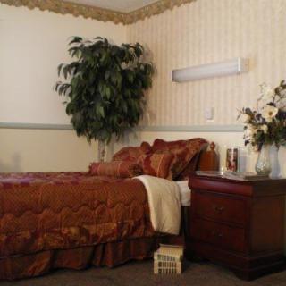 A cozy bedroom with elegant decor and a large potted plant.