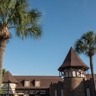 A scenic view of a castle-like building with palm trees under a clear blue sky.