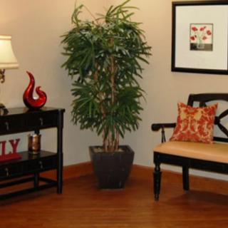 A cozy living room corner with a potted plant, bench, and decorative elements.