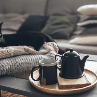 A cozy scene with a black cat lounging on a blanket beside a tray with a teapot and mug in the living room.