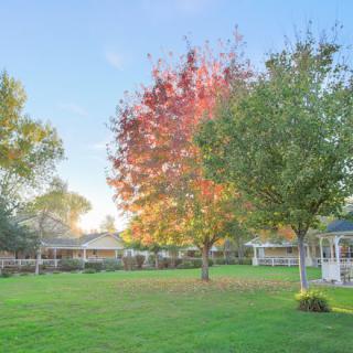 A picturesque yard with a gazebo and trees showcasing autumn colors at sunset.