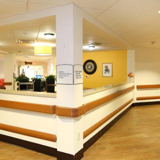 A welcoming reception area in a healthcare facility featuring bright yellow walls and greenery.