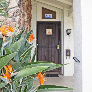 A welcoming entrance with tropical Bird of Paradise flowers beside a front door.