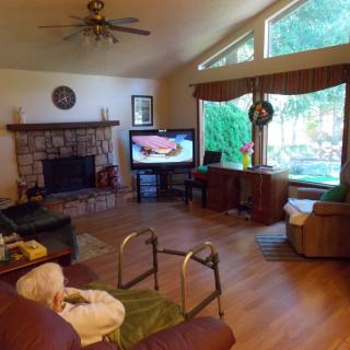 A cozy living room with a television, fireplace, and large windows overlooking a garden.