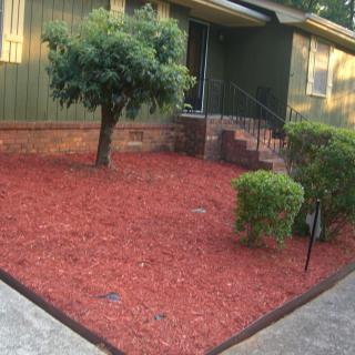 A well-maintained front yard with red mulch, a small tree, and bushes in front of a house.