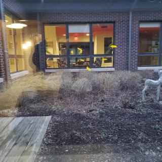A view of a building with large windows reflecting the outdoor plants and surroundings.