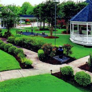 Optimum Personal Care - Missouri City