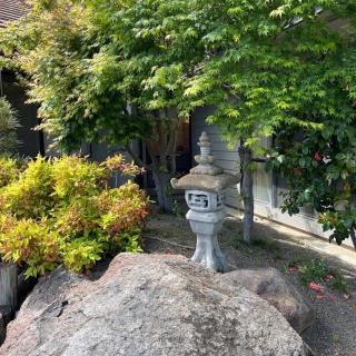 A serene garden scene featuring a traditional Japanese stone lantern surrounded by vibrant greenery.