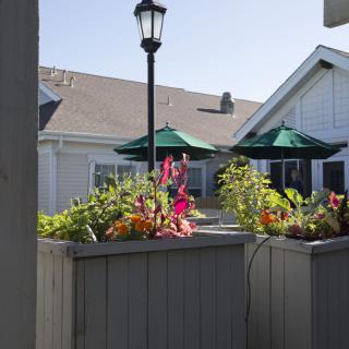 A sunny outdoor patio with flower arrangements and green umbrellas.