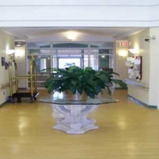 A spacious lobby area with a decorative plant on a table.