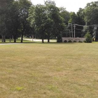 A peaceful landscape featuring a grassy area bordered by trees and a road in the background.