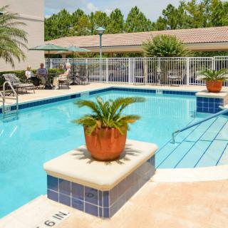 A tranquil outdoor swimming pool surrounded by lush greenery and palm plants, perfect for relaxation on a sunny day.